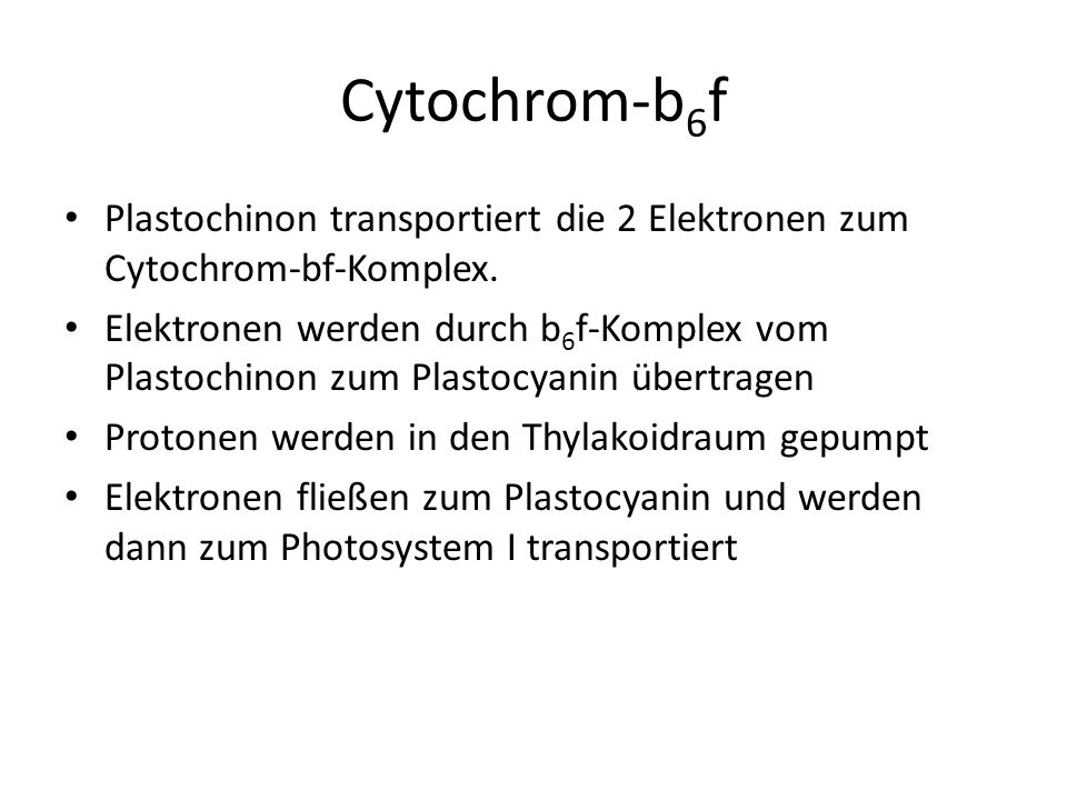 Cytochrom-b6f Plastochinon transportiert die 2 Elektronen zum Cytochrom-bf-Komplex.