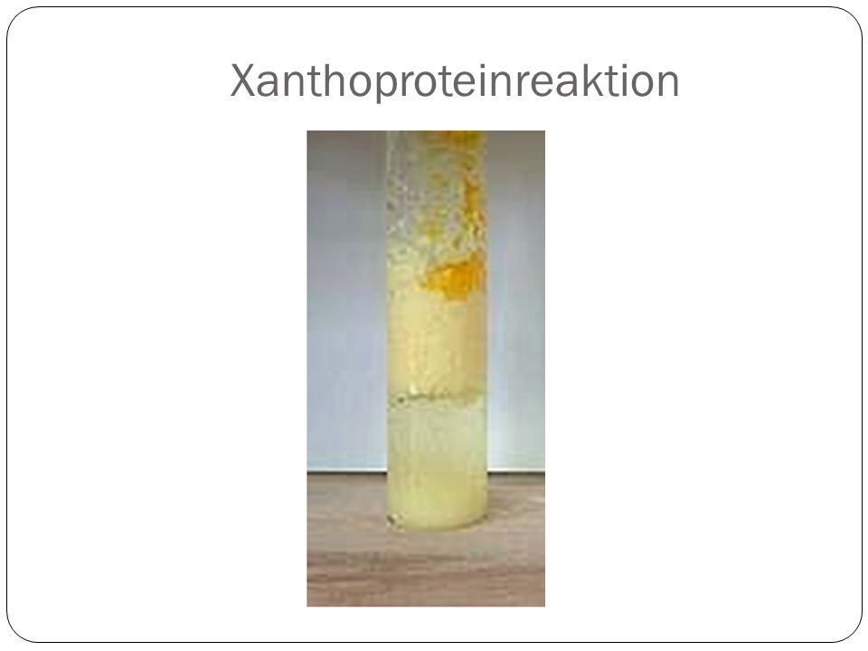 Xanthoproteinreaktion