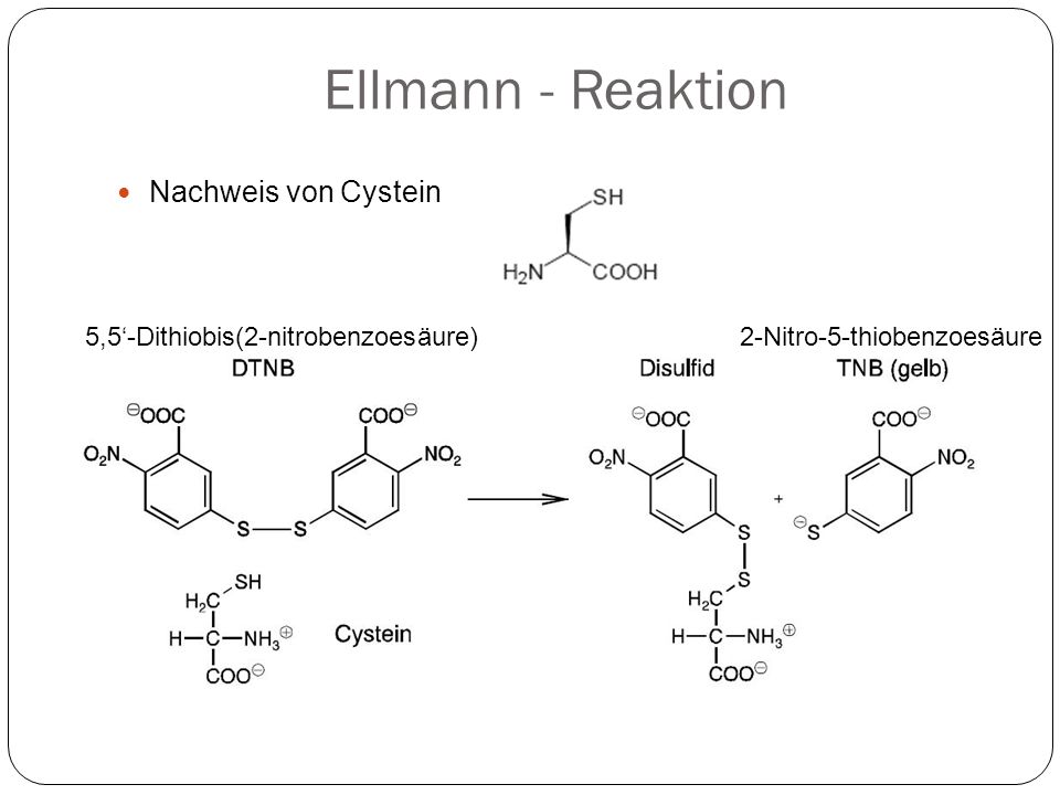 Ellmann - Reaktion Nachweis von Cystein
