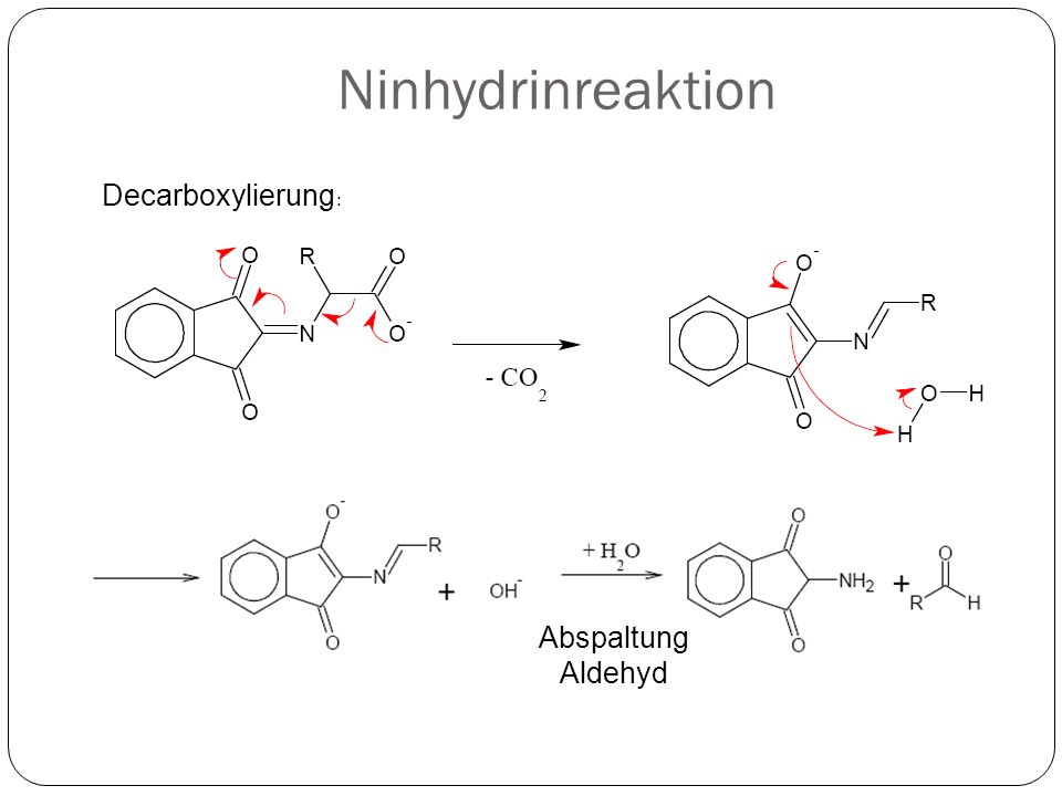 Ninhydrinreaktion Decarboxylierung: Abspaltung Aldehyd