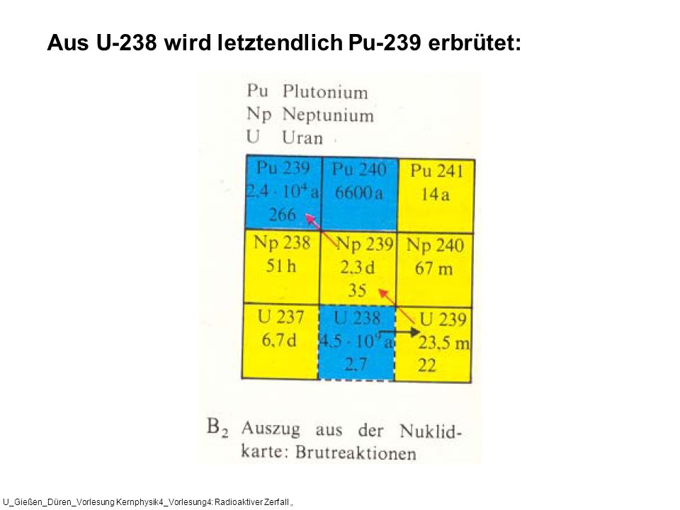 Aus U-238 wird letztendlich Pu-239 erbrütet: