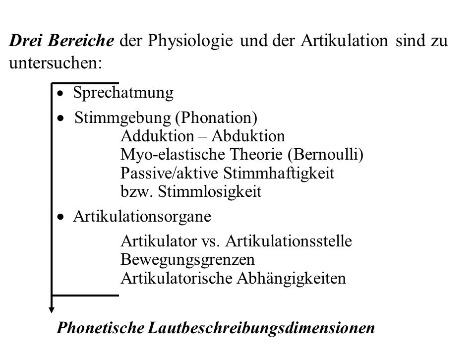 Drei Bereiche der Physiologie und der Artikulation sind zu untersuchen: