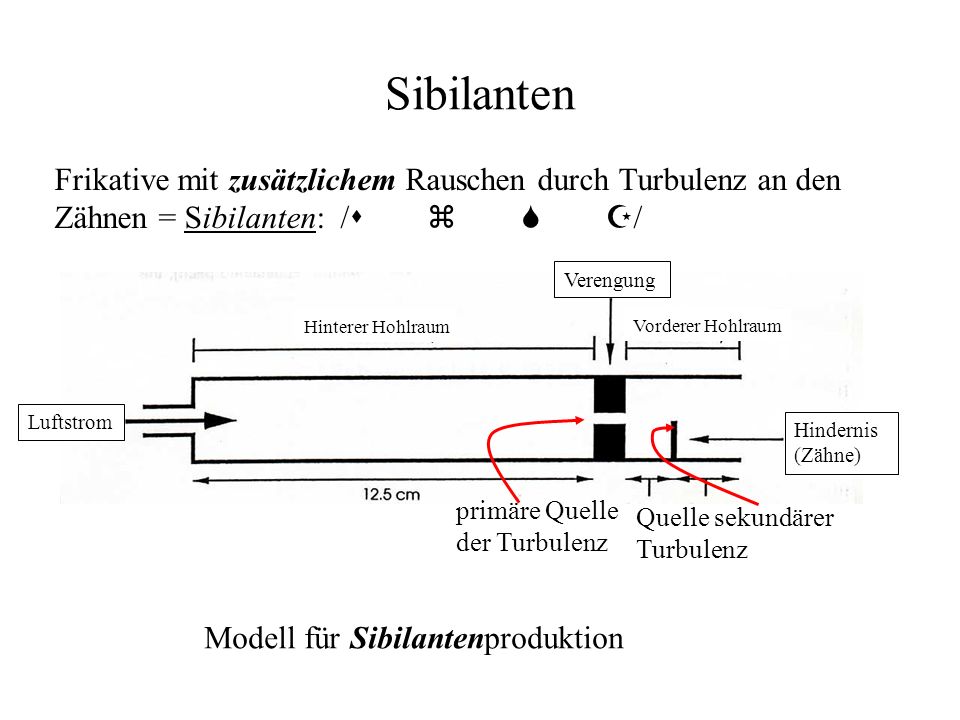 Sibilanten Frikative mit zusätzlichem Rauschen durch Turbulenz an den Zähnen = Sibilanten: /s z S Z/