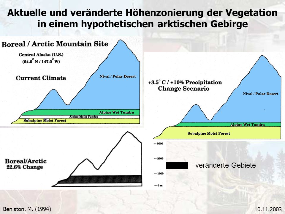Aktuelle und veränderte Höhenzonierung der Vegetation in einem hypothetischen arktischen Gebirge
