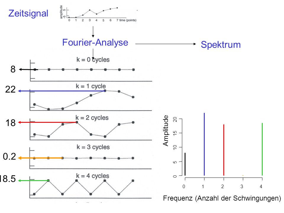 Zeitsignal Fourier-Analyse Spektrum Amplitude