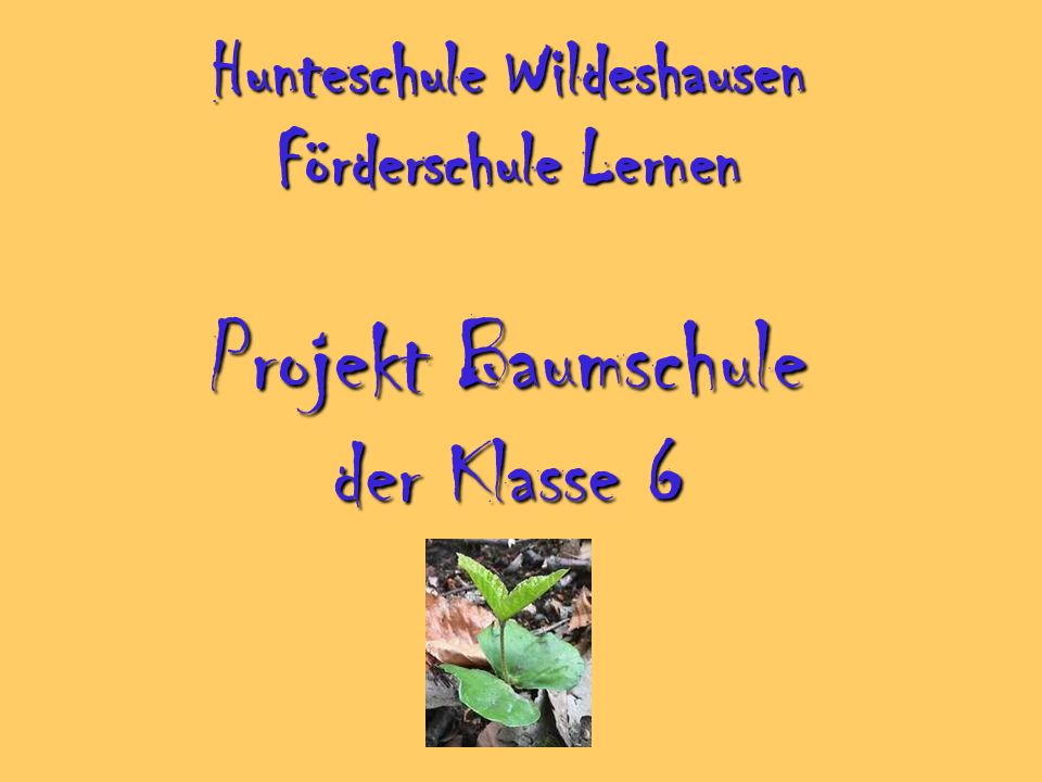 Hunteschule Wildeshausen Förderschule Lernen Projekt Baumschule der Klasse 6