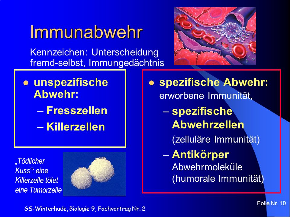 2. humorale Immunität). unspezifische Abwehr. zelluläre Immunität). 