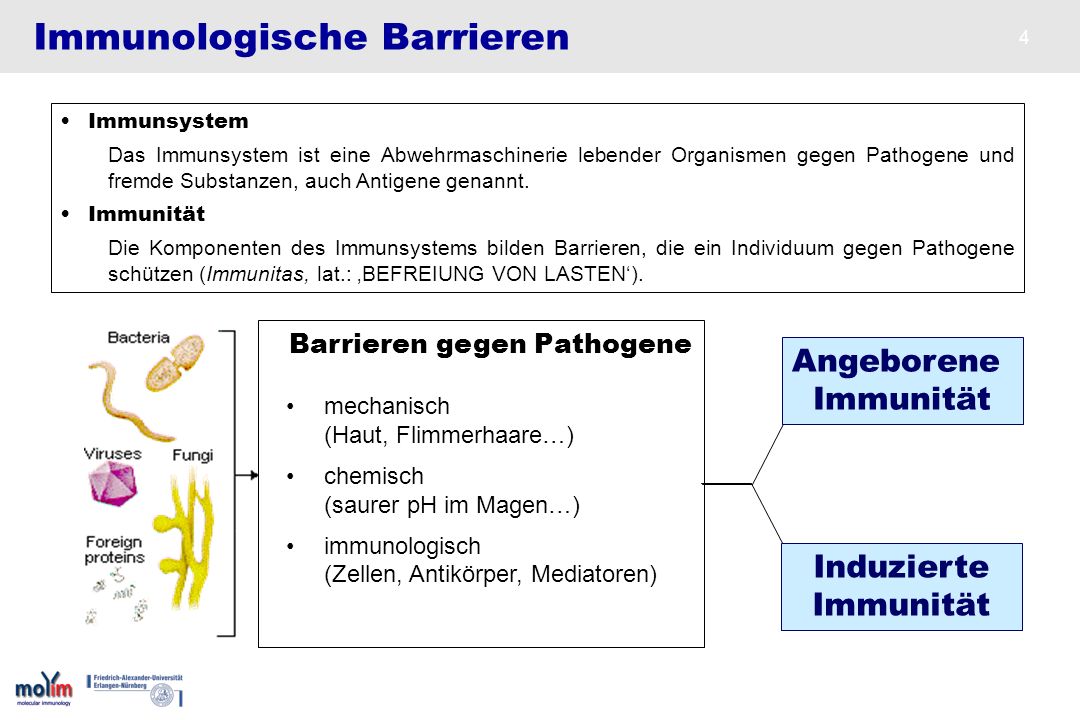 Immunologische Barrieren