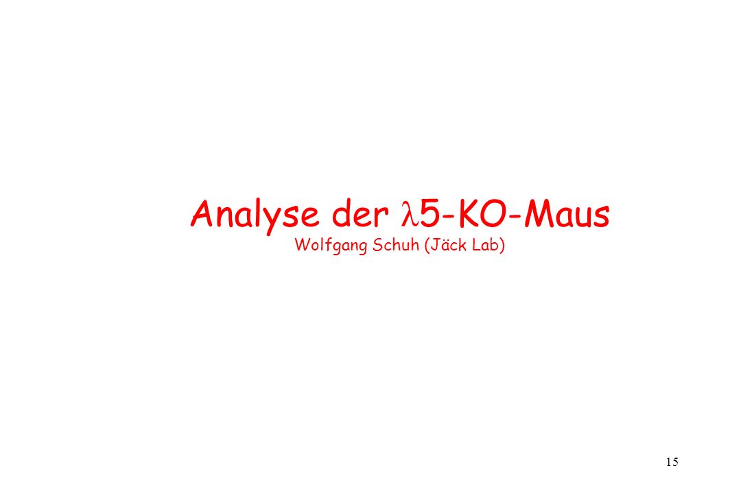 Analyse der λ5-KO-Maus Wolfgang Schuh (Jäck Lab)