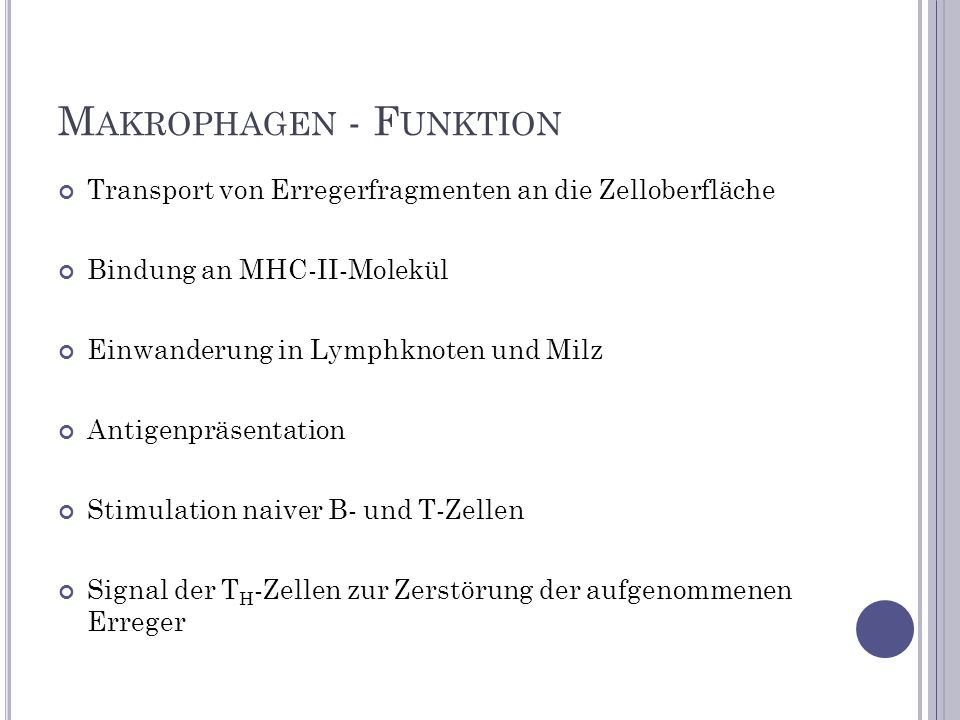 Makrophagen - Funktion