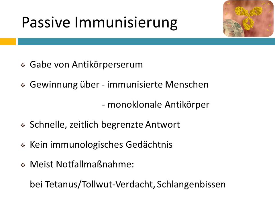 Passive Immunisierung