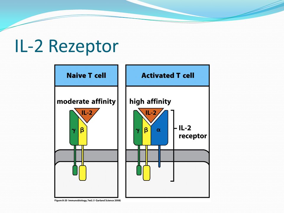 IL-2 Rezeptor