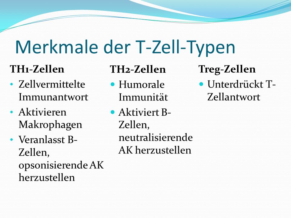 Merkmale der T-Zell-Typen