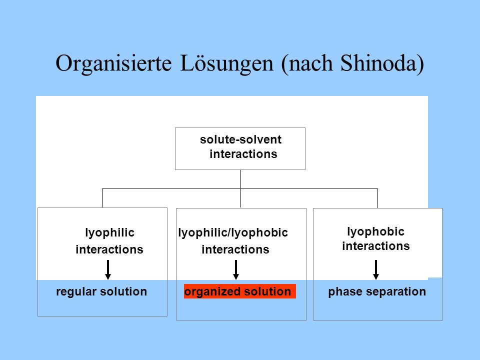 Organisierte Lösungen (nach Shinoda)