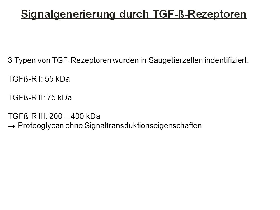 3 Typen von TGF-Rezeptoren wurden in Säugetierzellen indentifiziert: