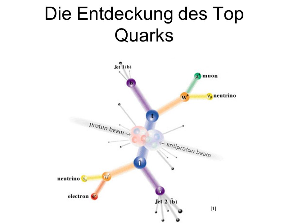 Die Entdeckung des Top Quarks