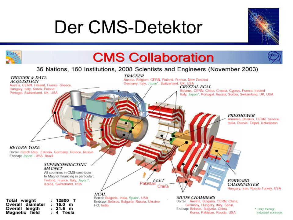 Der CMS-Detektor