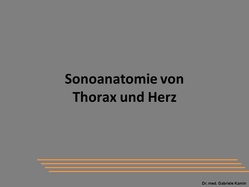 Sonoanatomie von Thorax und Herz