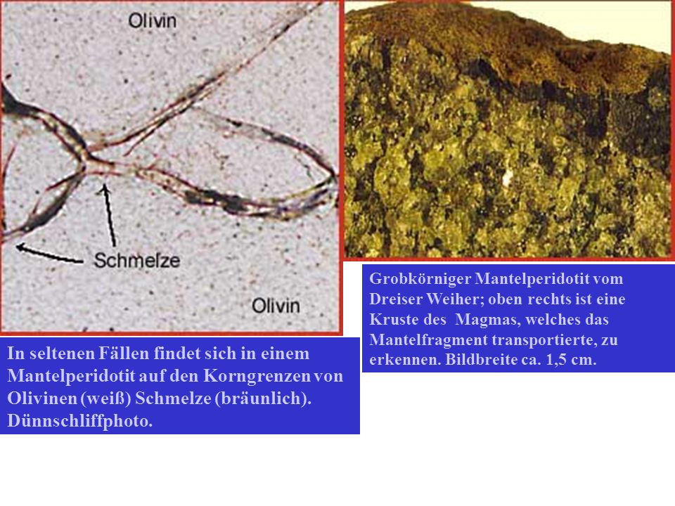 Grobkörniger Mantelperidotit vom Dreiser Weiher; oben rechts ist eine Kruste des Magmas, welches das Mantelfragment transportierte, zu erkennen. Bildbreite ca. 1,5 cm.