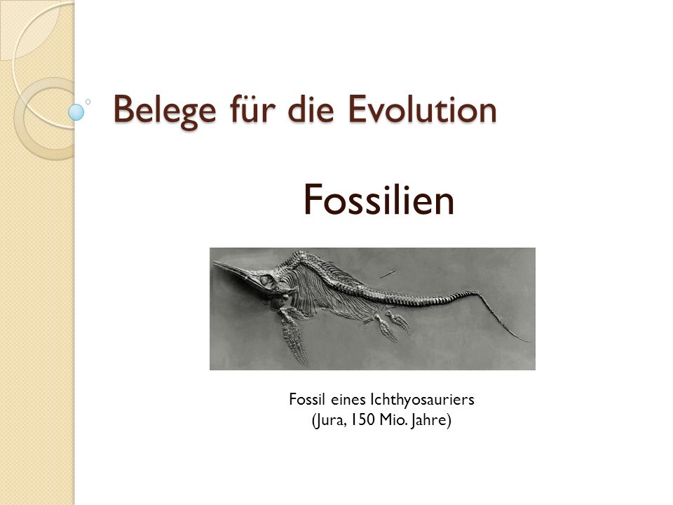 Belege für die Evolution