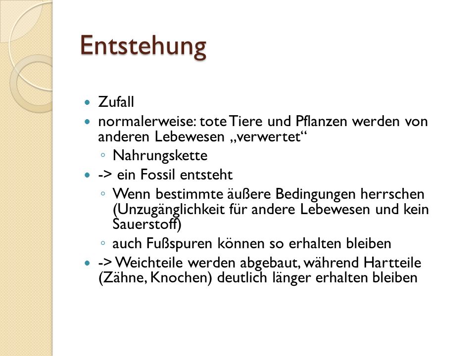 Entstehung Zufall. normalerweise: tote Tiere und Pflanzen werden von anderen Lebewesen „verwertet