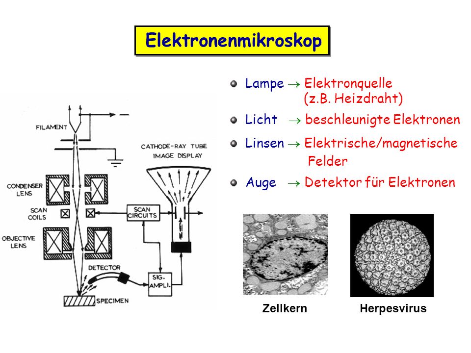 Lampe  Elektronquelle (z.B. Heizdraht)