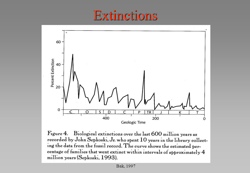 Extinctions Bak, 1997