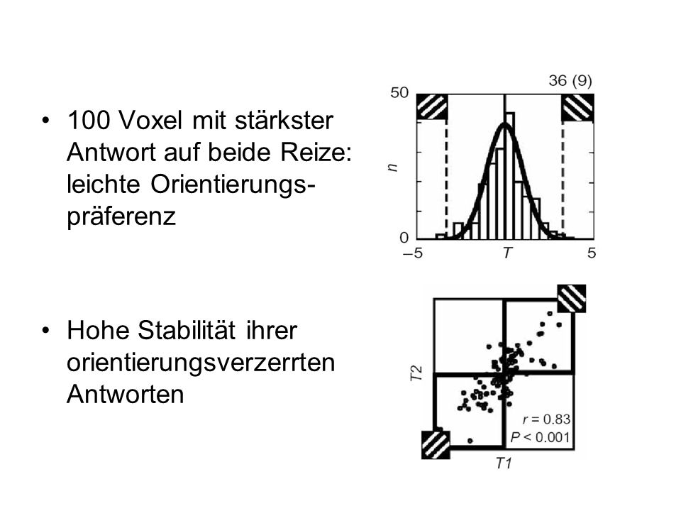 100 Voxel mit stärkster Antwort auf beide Reize: leichte Orientierungs-präferenz