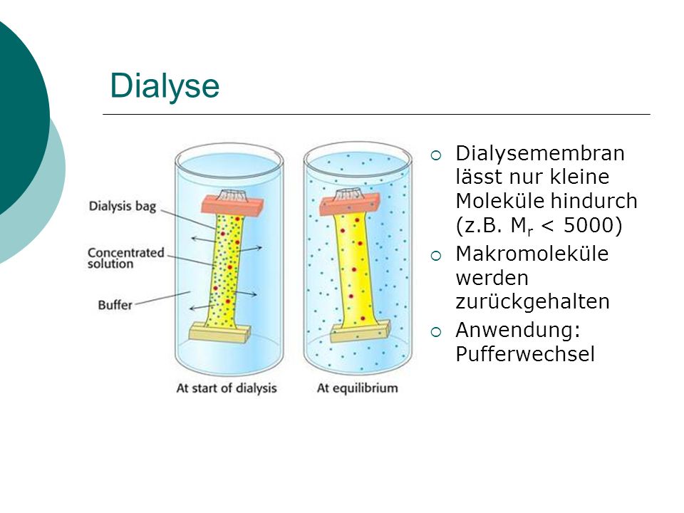 Dialyse Dialysemembran lässt nur kleine Moleküle hindurch (z.B. Mr < 5000) Makromoleküle werden zurückgehalten.