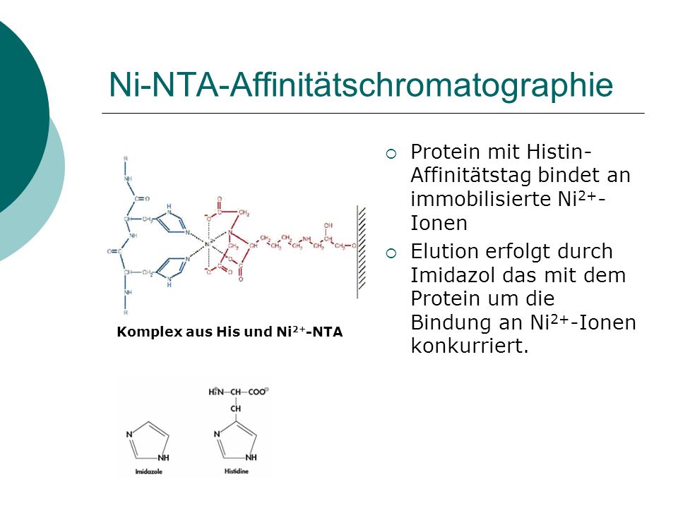 Ni-NTA-Affinitätschromatographie