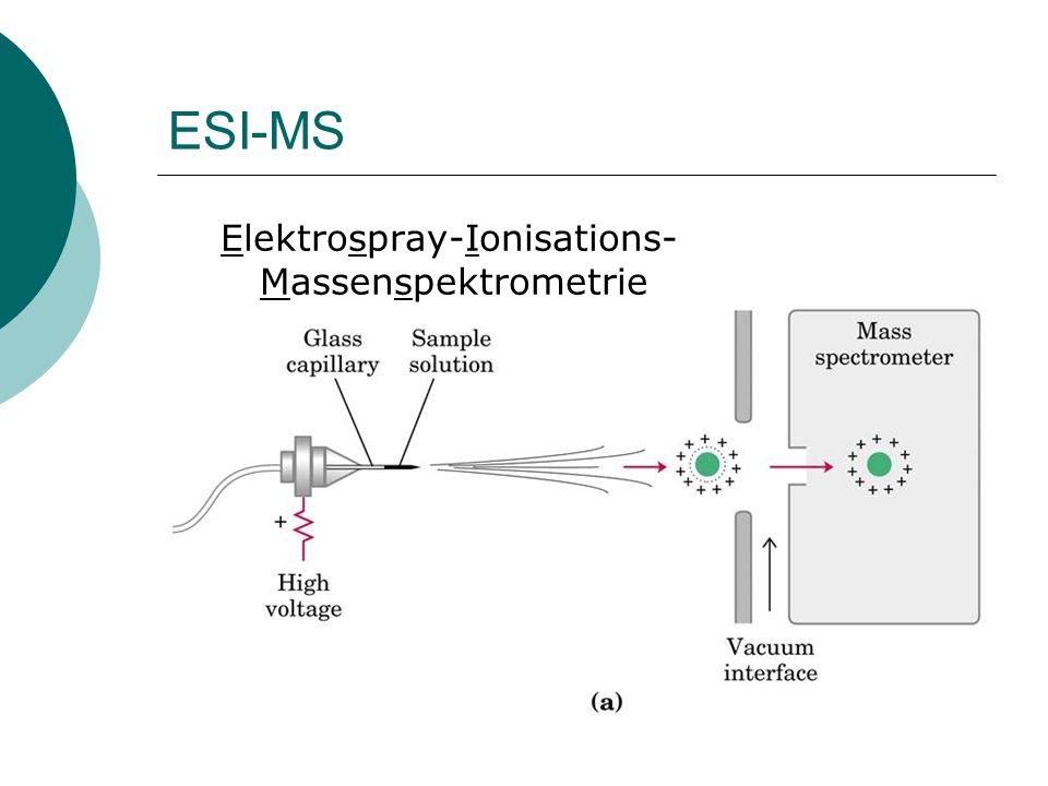 ESI-MS Elektrospray-Ionisations-Massenspektrometrie