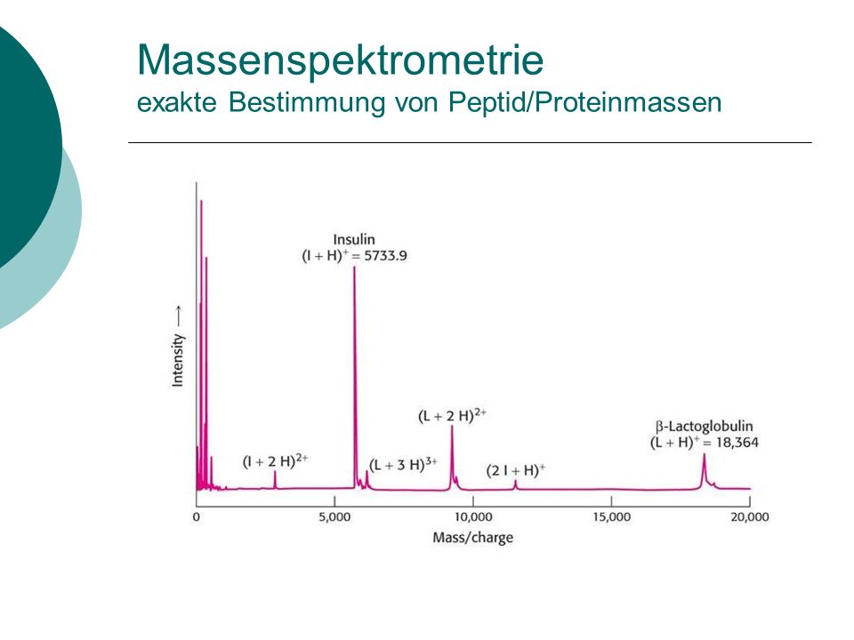 Massenspektrometrie exakte Bestimmung von Peptid/Proteinmassen