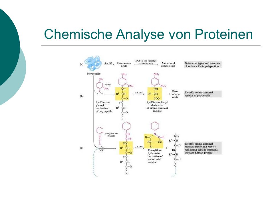 Chemische Analyse von Proteinen