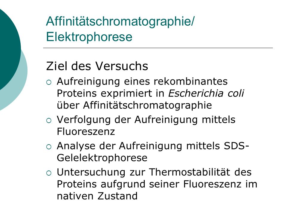 Affinitätschromatographie/ Elektrophorese