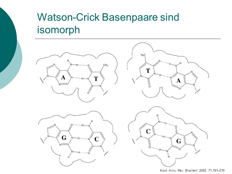 Watson-Crick Basenpaare sind isomorph