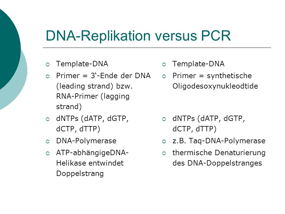 DNA-Replikation versus PCR