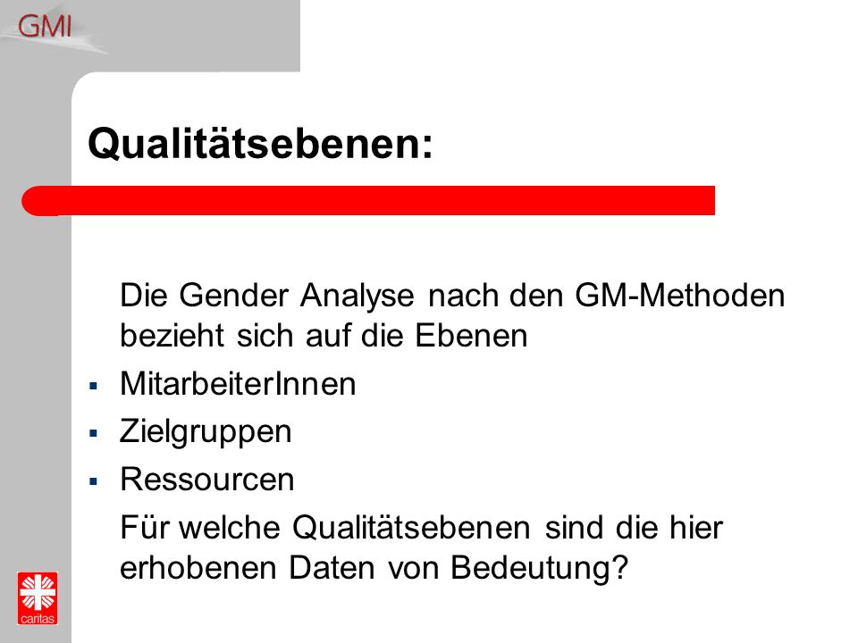 Qualitätsebenen: Die Gender Analyse nach den GM-Methoden bezieht sich auf die Ebenen. MitarbeiterInnen.