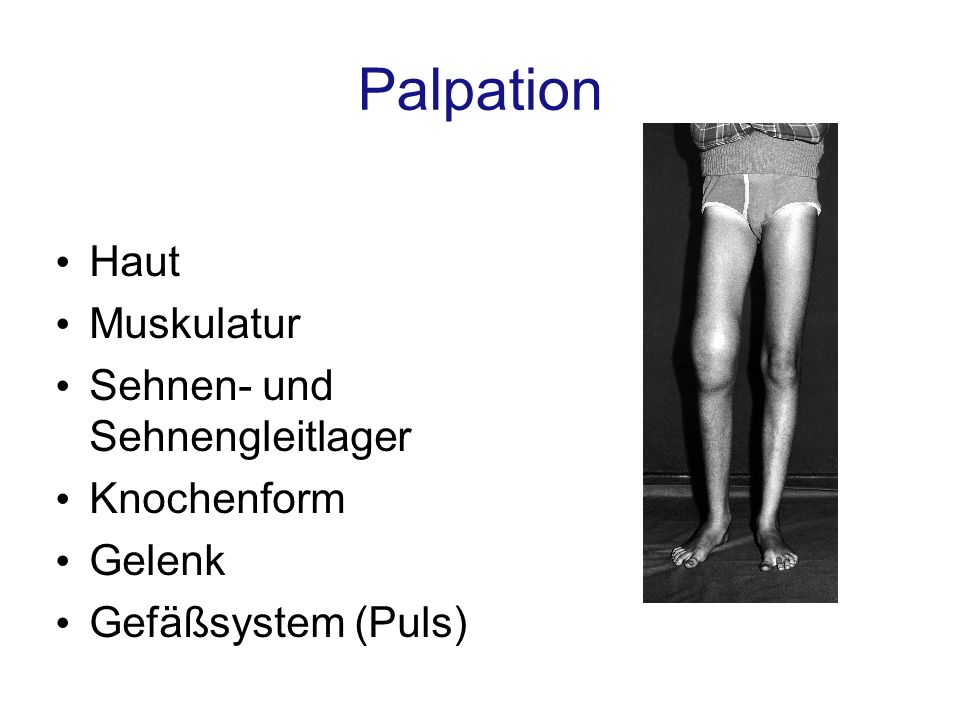 Palpation Haut Muskulatur Sehnen- und Sehnengleitlager Knochenform