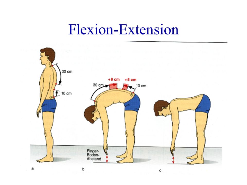 Flexion-Extension