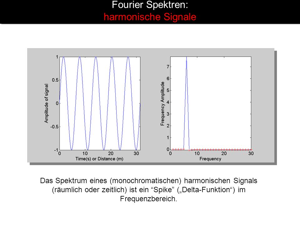 Fourier Spektren: harmonische Signale