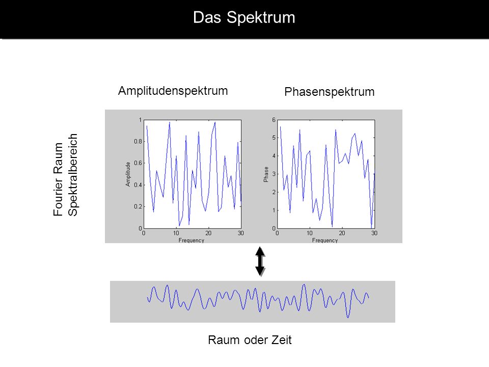 Das Spektrum Amplitudenspektrum Phasenspektrum Spektralbereich
