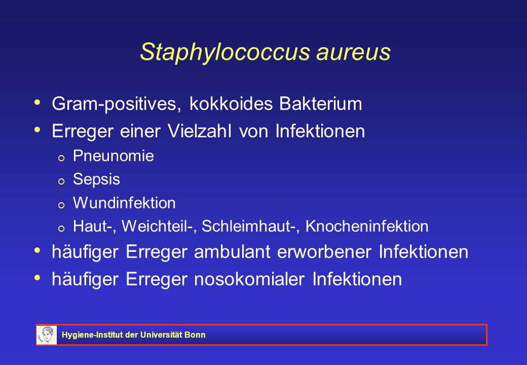 Staphylococcus aureus