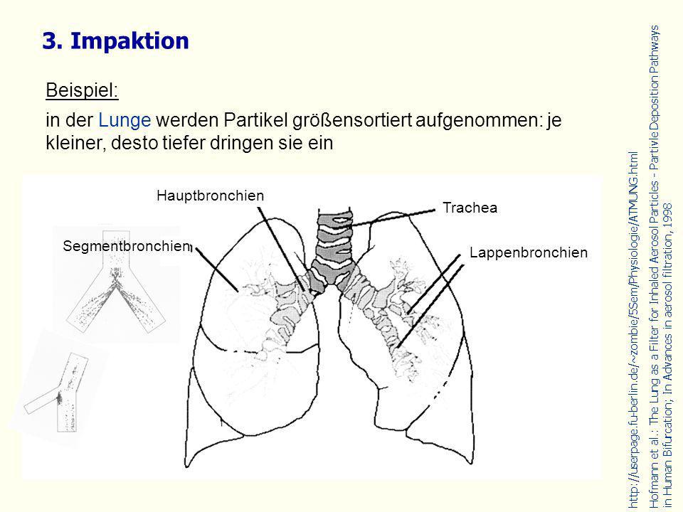 3. Impaktion Beispiel: in der Lunge werden Partikel größensortiert aufgenommen: je kleiner, desto tiefer dringen sie ein.