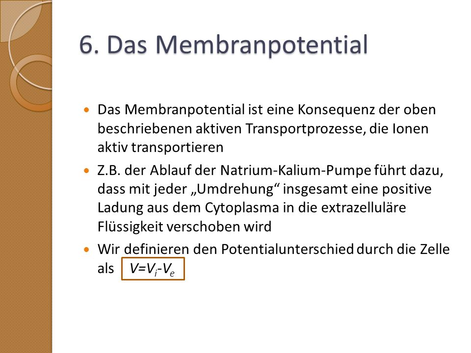 6. Das Membranpotential Das Membranpotential ist eine Konsequenz der oben beschriebenen aktiven Transportprozesse, die Ionen aktiv transportieren.