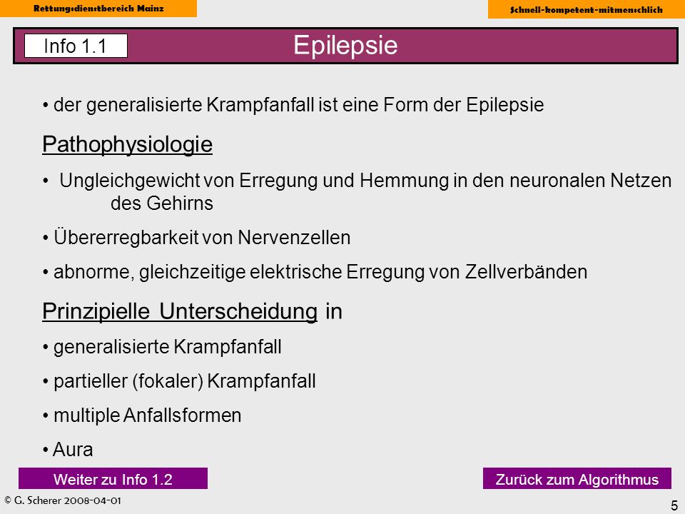 Epilepsie Pathophysiologie Prinzipielle Unterscheidung in Info 1.1