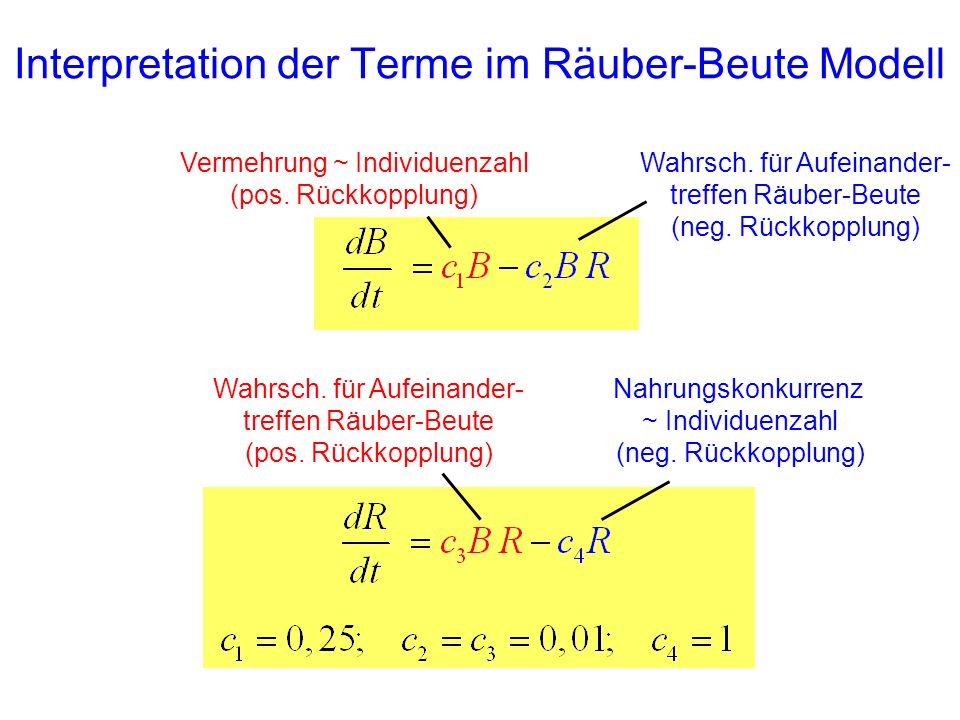 Interpretation der Terme im Räuber-Beute Modell