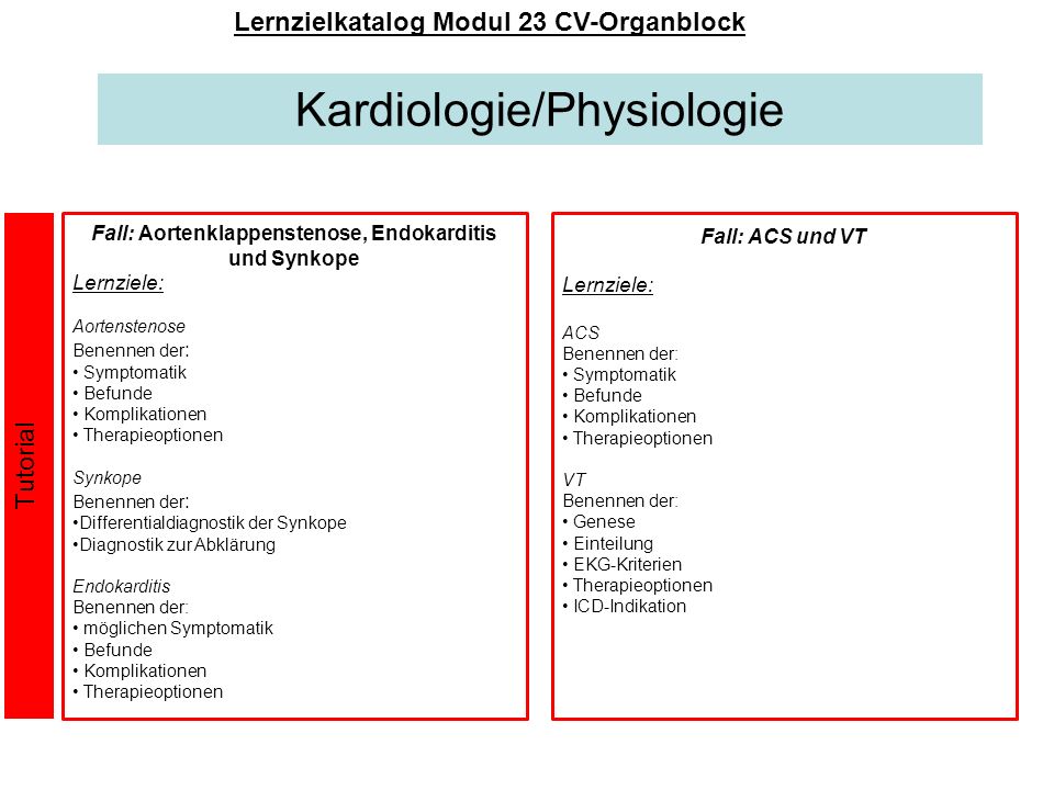 Kardiologie/Physiologie
