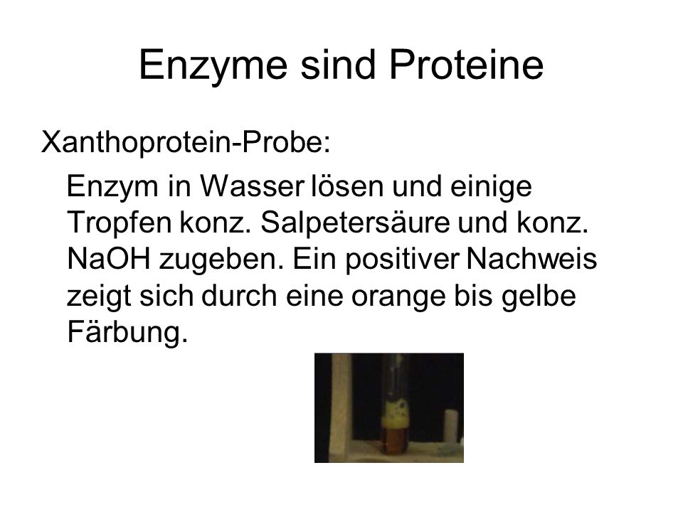 Enzyme sind Proteine Xanthoprotein-Probe: