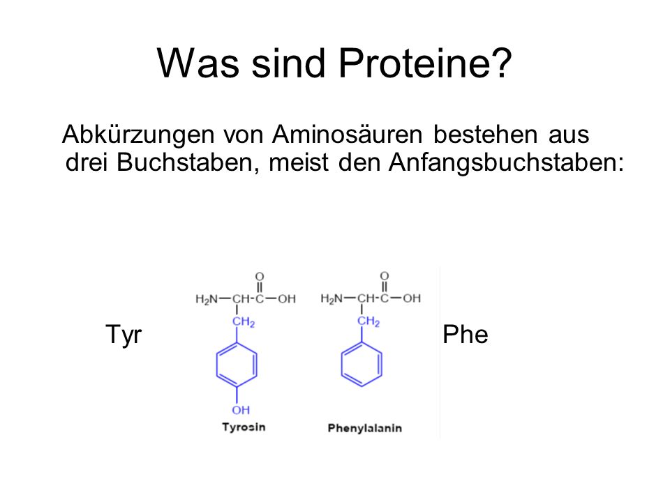 Was sind Proteine Abkürzungen von Aminosäuren bestehen aus drei Buchstaben, meist den Anfangsbuchstaben: