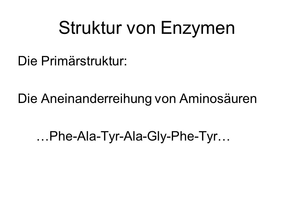 Struktur von Enzymen Die Primärstruktur: